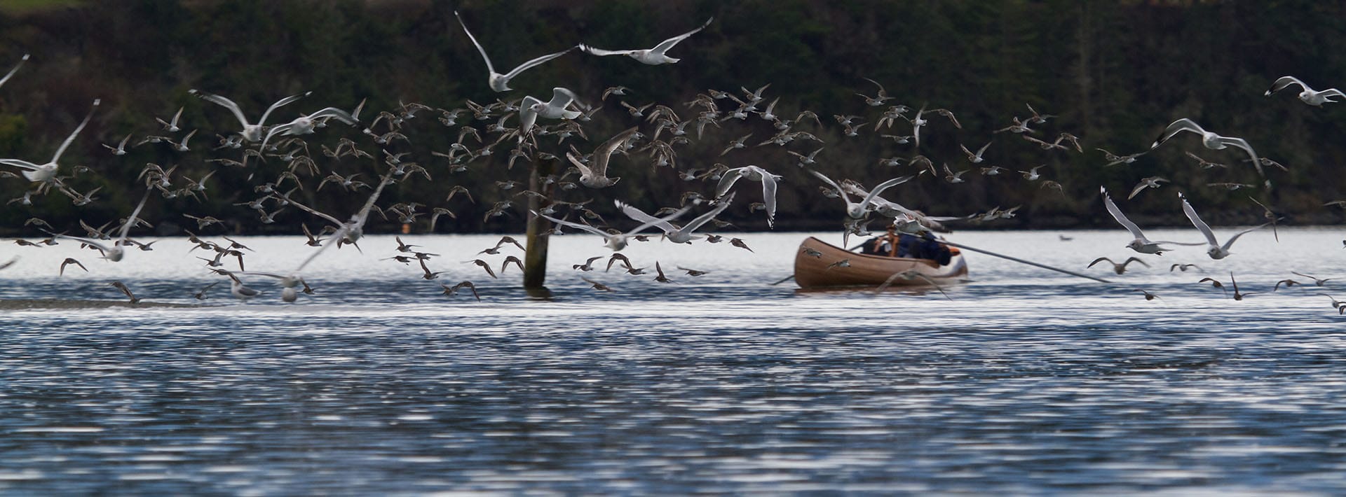 niclas-boat