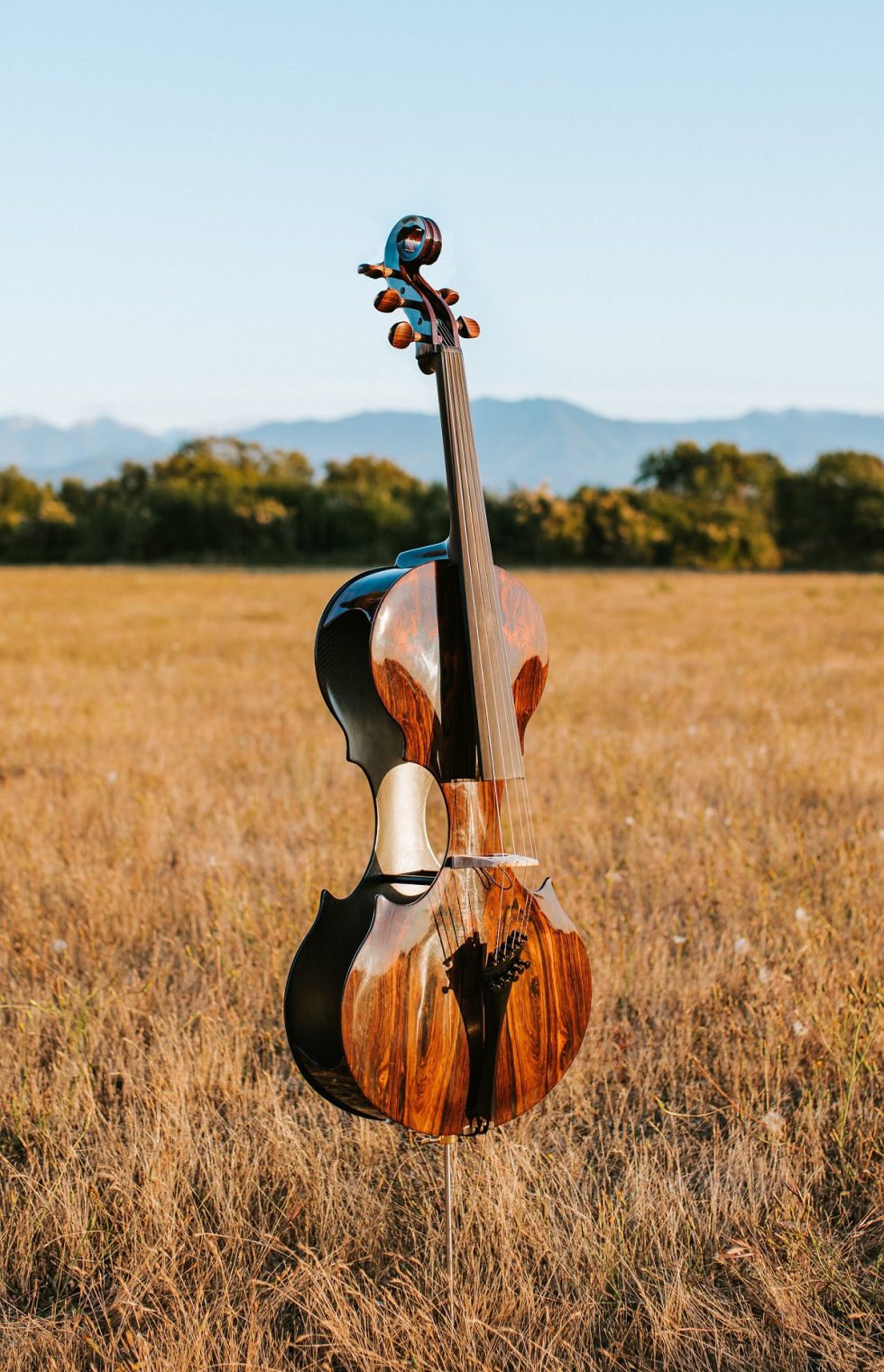 Custom Stringed Instruments - Robert Niclas Fine Woodworking